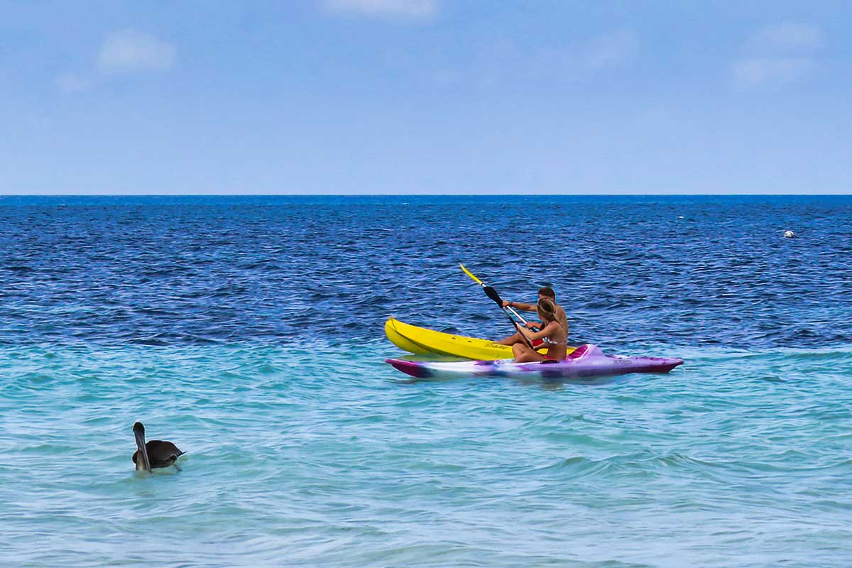 Tourists kayaking through the caribbean on a Belize adventure