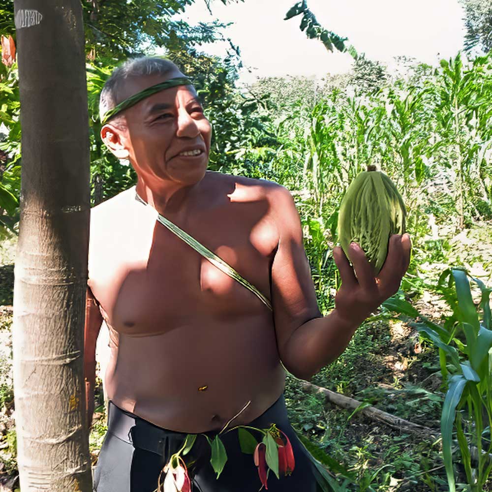 Belize-Cacao-Farmer Cacao Farmer during one of our Belize Vacation Packages